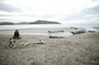 scene plage Louise Michel la rebelle