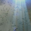 des personnes dans le ciel