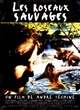 Affiche du film Les Roseaux sauvages