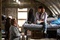 jack-black-rashida-jones-jpg