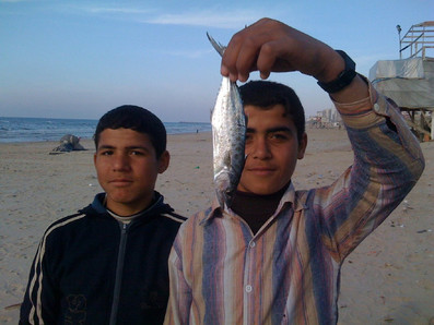 image Aisheen