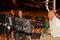 on-the-set-png