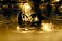 quatrieme-photo-riddick-3-jpg