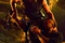 riddick-3-jpg