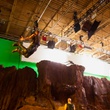 tournage-en-vol-png