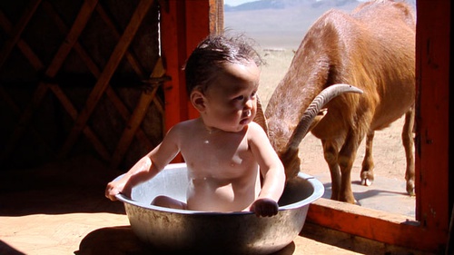 Bébé dans une bassine
