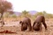 Bébé africain