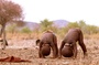 Bébé africain