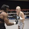 anna-faris-au-combat-jpg - Scary Movie 4 
