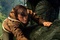 jack-le-tueur-de-geants-jpg