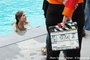 Mélanie Laurent dans la piscine