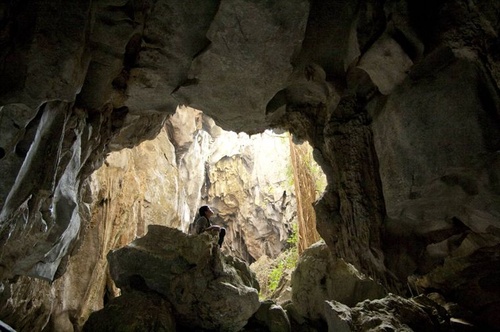 oncle boonmee dans la grotte