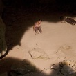 photo du film oncle boonmee