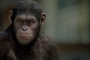 andy-serkis-jpg