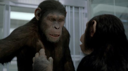 cesar-le-singe-jpg