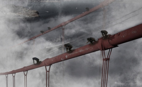 des-singes-sur-un-pont-jpg