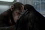 un-calin-de-singe-jpg