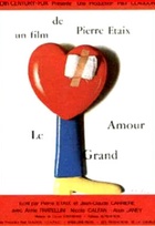 Affiche miniature du film Le grand amour 