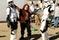 fanboys13