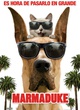 affiche espagnol