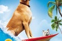 Affiche du film Marmaduke 