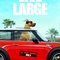 affiche teaser am  ricaine - Marmaduke 