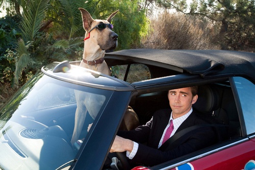 marmaduke et lee pace