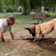 marmaduke lors du tournage