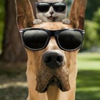 photo inspirant une affiche