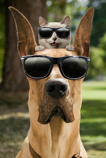 photo inspirant une affiche
