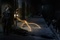 the-darkest-hour-de-chris-gorak-jpg