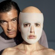 antonio banderas elena anaya