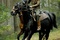 cavalier-cheval-de-guerre-jpg