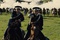 cavaliers-a-l-attaque-cheval-de-guerre-jpg
