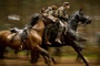 cheval-de-guerre-course-de-chevaux-jpg