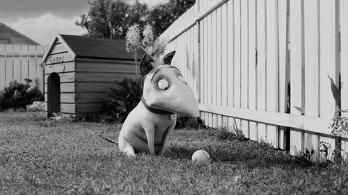 chien-jpg