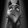 sparky-jpg