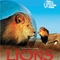 Affiche du film Lions, combat de rois au Kalahari - Lions, combat de rois au Kalahari 