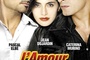 Affiche du film L'amour aux trousses