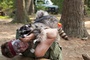 brendan fraser attaqu   par un raton laveur