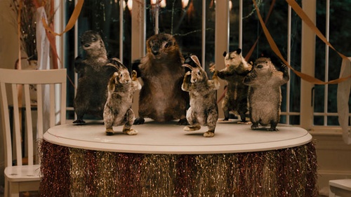 sc  ne du film