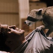 un raton laveur menace brendan fraser