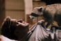 un raton laveur menace brendan fraser