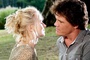 Josh Broling Naomi Watts