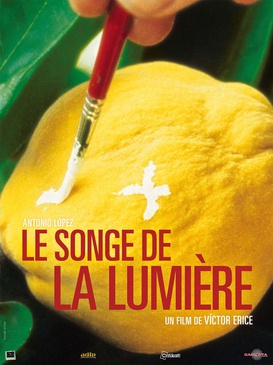 Affiche du film Le songe de la lumière