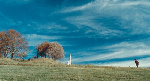 photo du film au fond des bois
