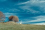 photo du film au fond des bois
