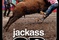 affiche 2 du film jackass 3d