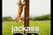 affiche 3 du film jackass 3d