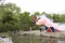 photo 11 du film jackass 3D